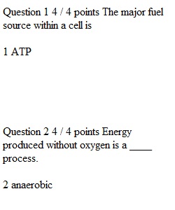 Quiz 3